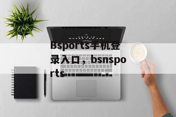 Bsports手机登录入口，bsnsports